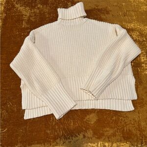Madewell wide rib turtle neck sweater